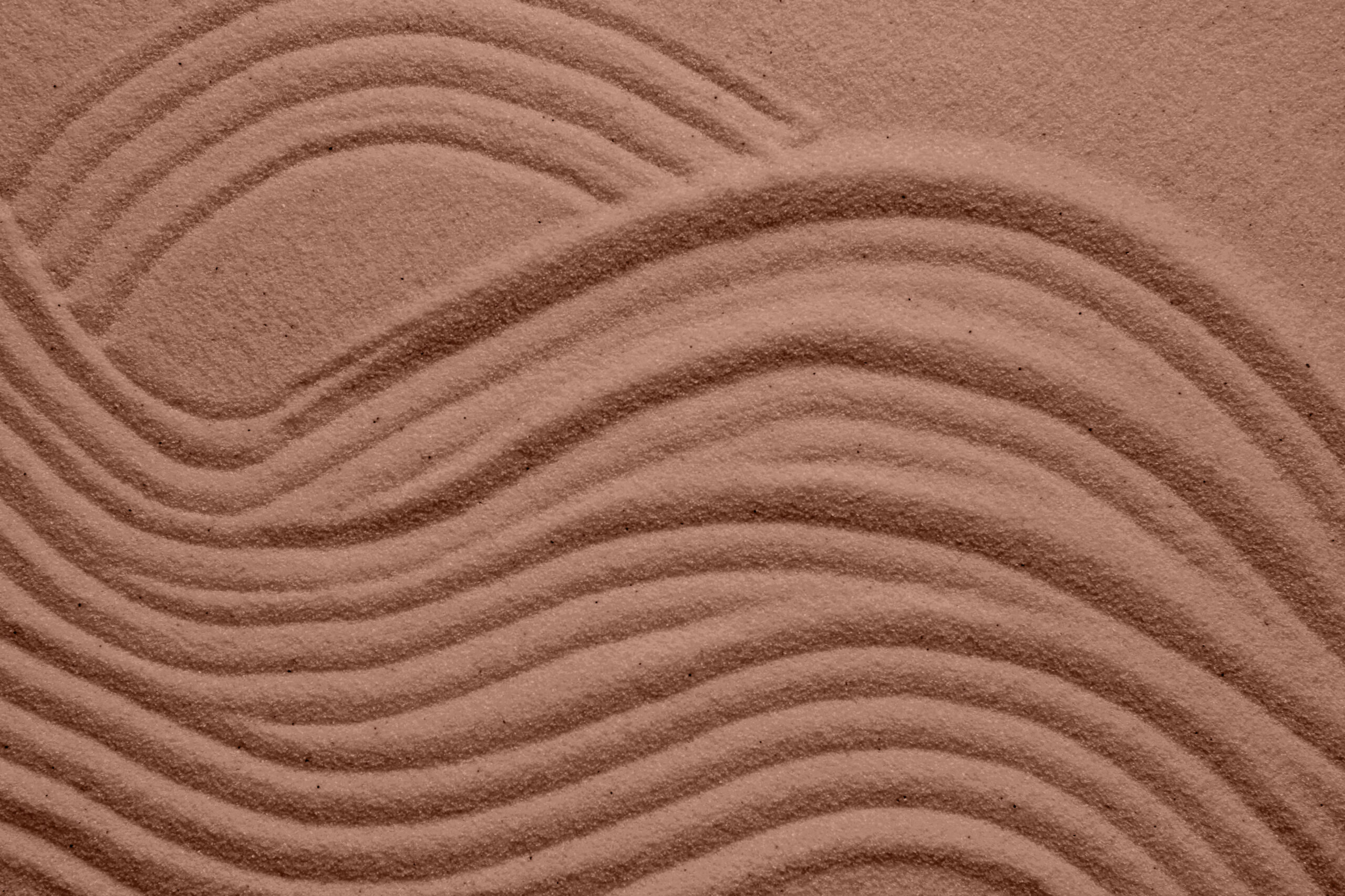 THE PANTONE COLOR OF 2025