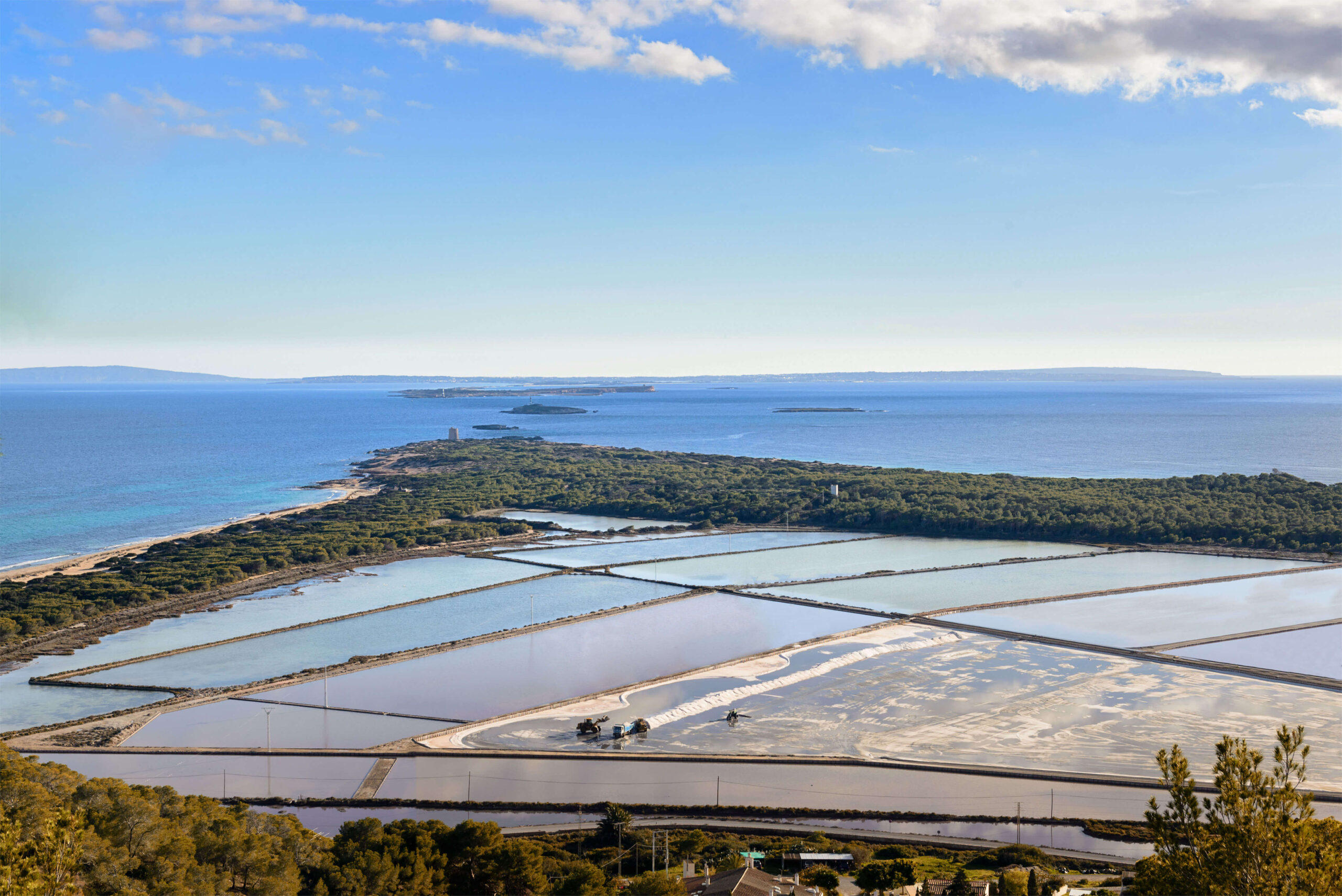 SES SALINES, NATURALEZA EN ESTADO PURO